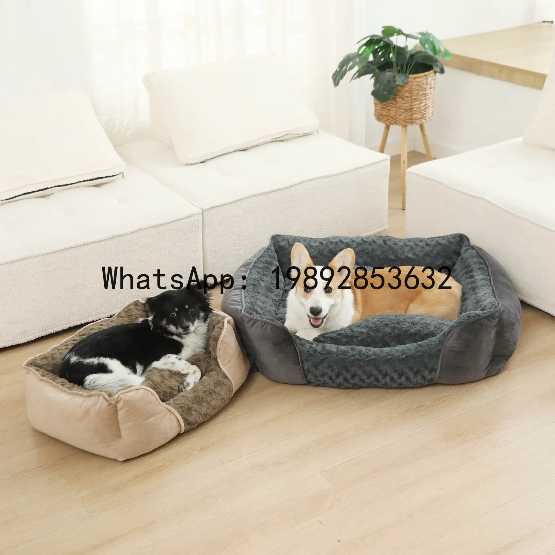 Pet X Supplies & Tack Howell - X cat house semi-enclosed dog kennel