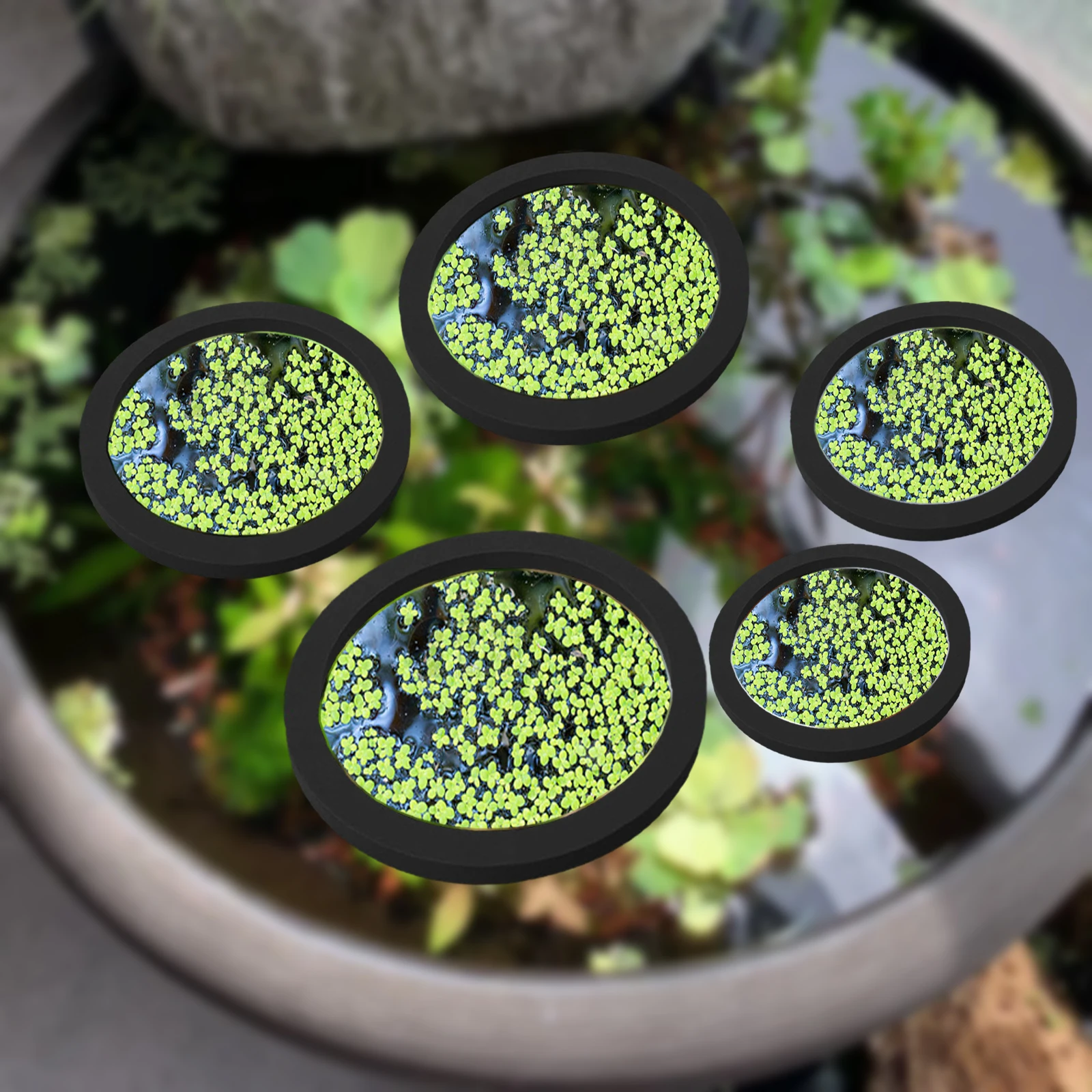 Aquarium Fish Tank - 5Pcs EVA Fish Feeding Ring Aquarium