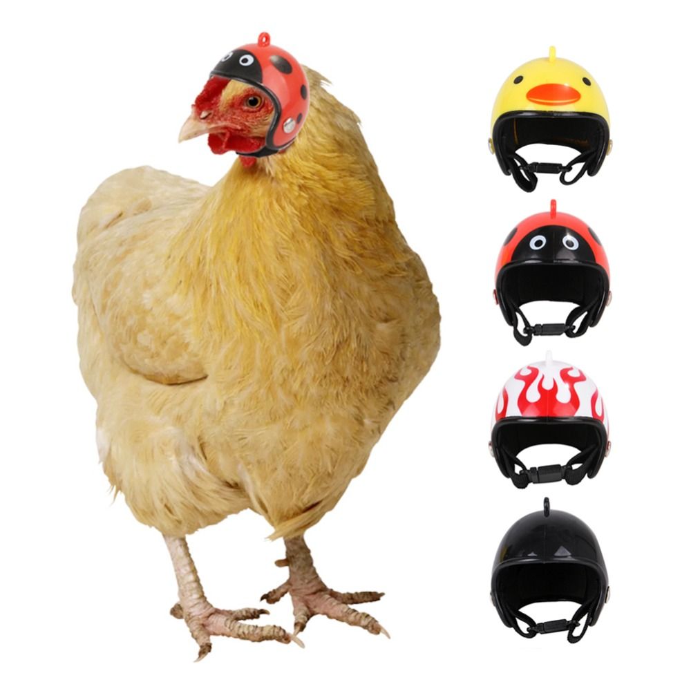 Pet X Supplies & Tack Howell - ABS Pet Supplies Funny Pet Protective