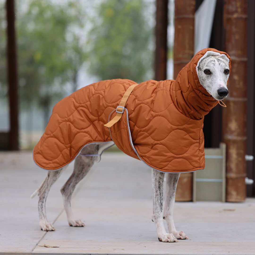 Dog Raincoat - Warm Winter Dog Jacket for Small/Medium/Large