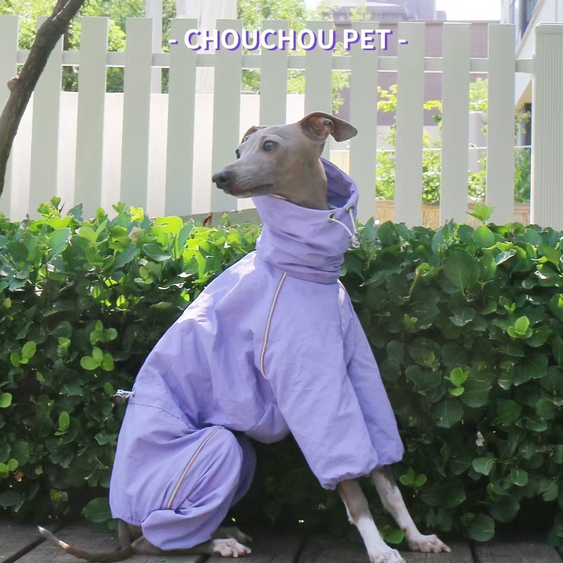 Italian Greyhound Raincoat Aut - огляд і ціна Dog Raincoat
