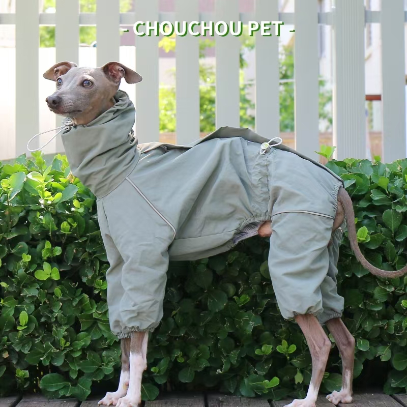 Italian Greyhound Raincoat Aut - огляд і ціна Dog Raincoat