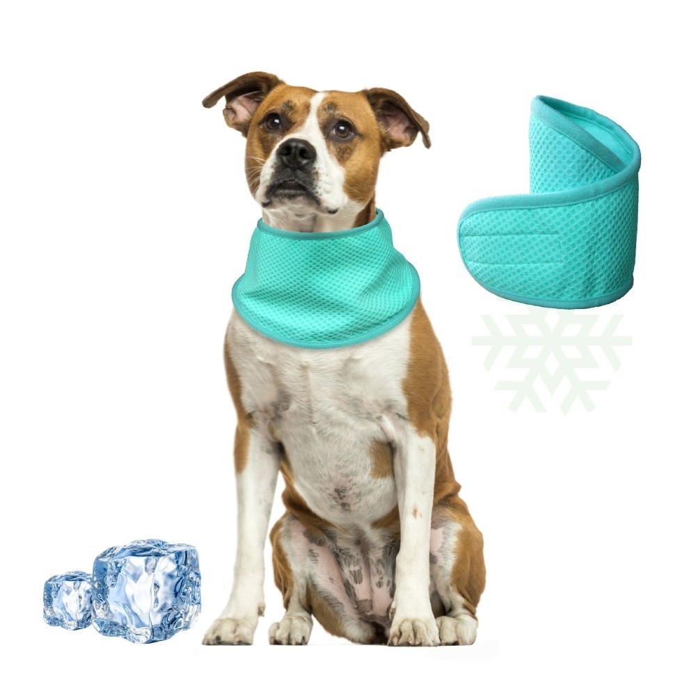 New Adjustable Dog Cooling Ban - огляд і ціна Dog Bandana Scarf