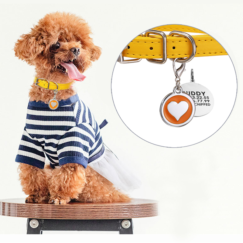 Pet Cat Dog Leather Collar Sta - огляд і ціна Pet Supplies Login