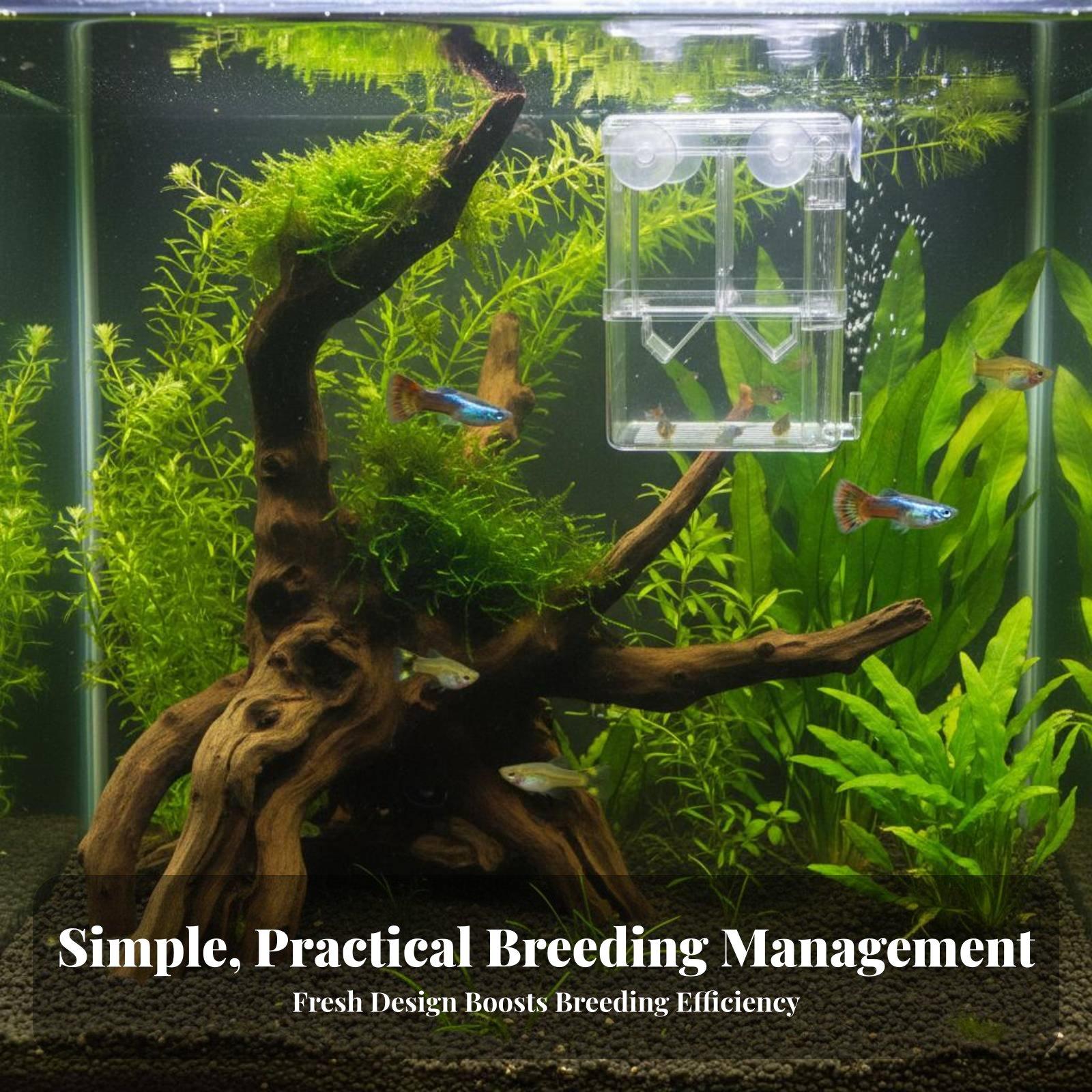 Double Layer Aquarium Breeding - огляд і ціна Aquarium Fish Tank