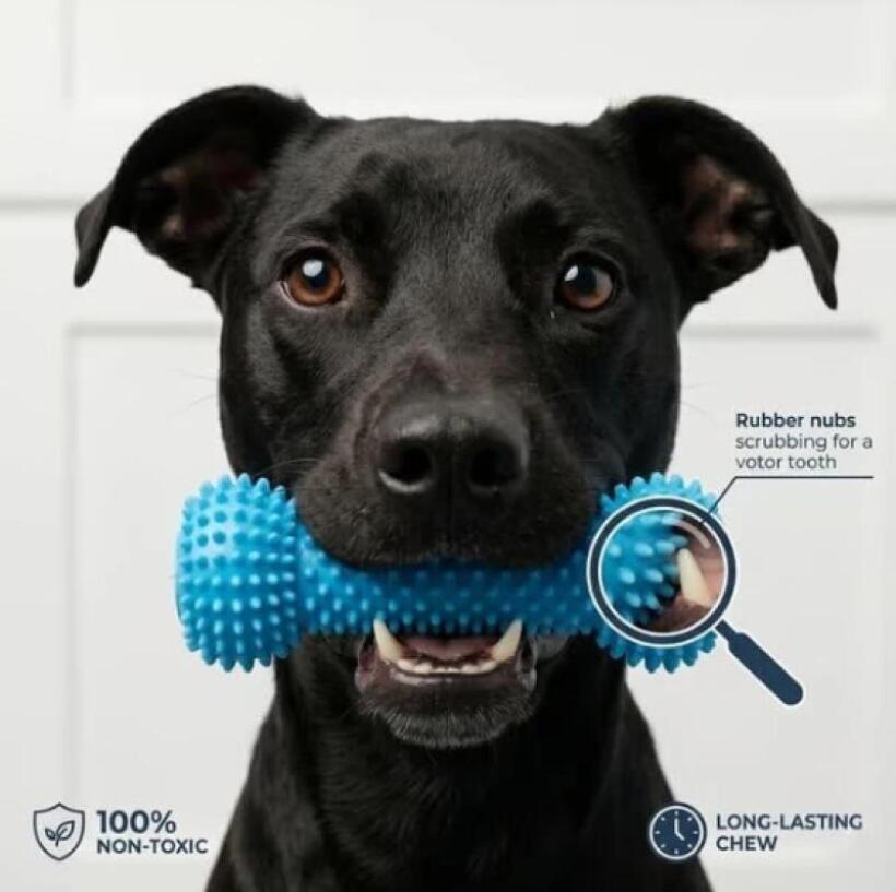 Dual Function Pet Dental Chew  - огляд і ціна Pet Dental Chew Toy