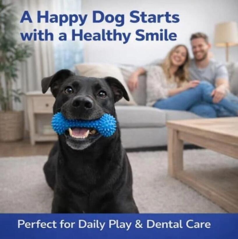 Dual Function Pet Dental Chew  - огляд і ціна Pet Dental Chew Toy