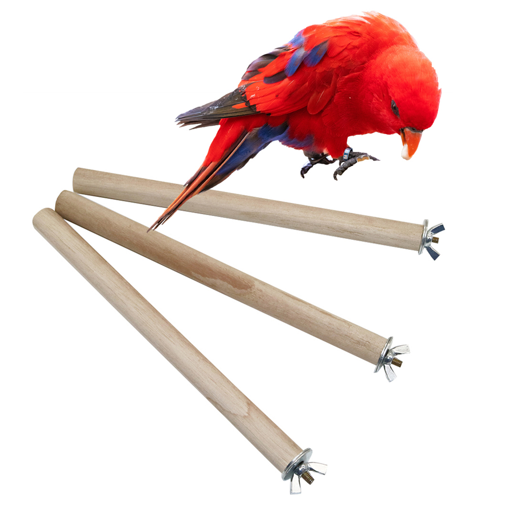 1 Pc Parrot Pigeon Pet Bird Lo - огляд і ціна Pet Supplies Login