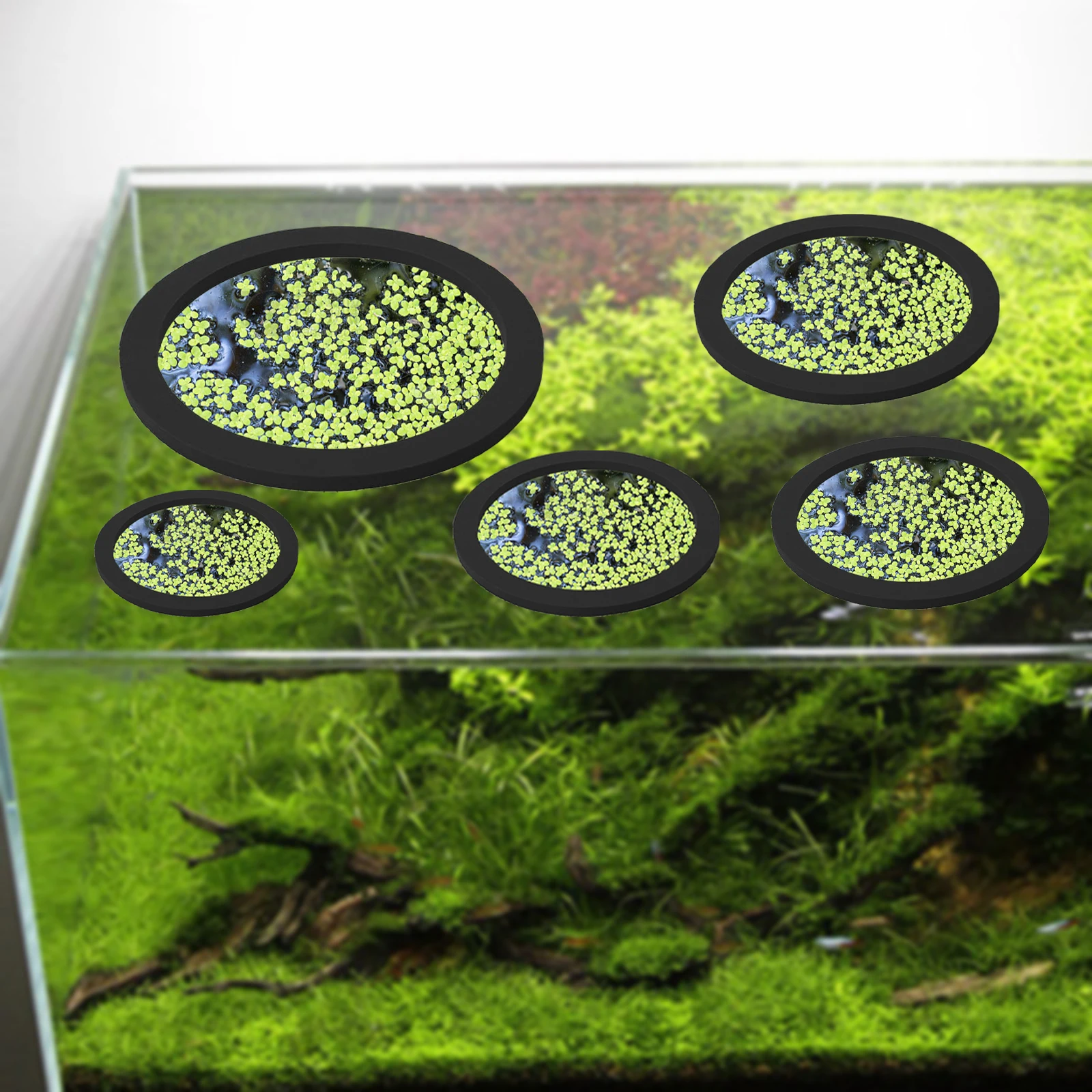 5Pcs EVA Fish Feeding Ring Aqu - огляд і ціна Aquarium Fish Tank