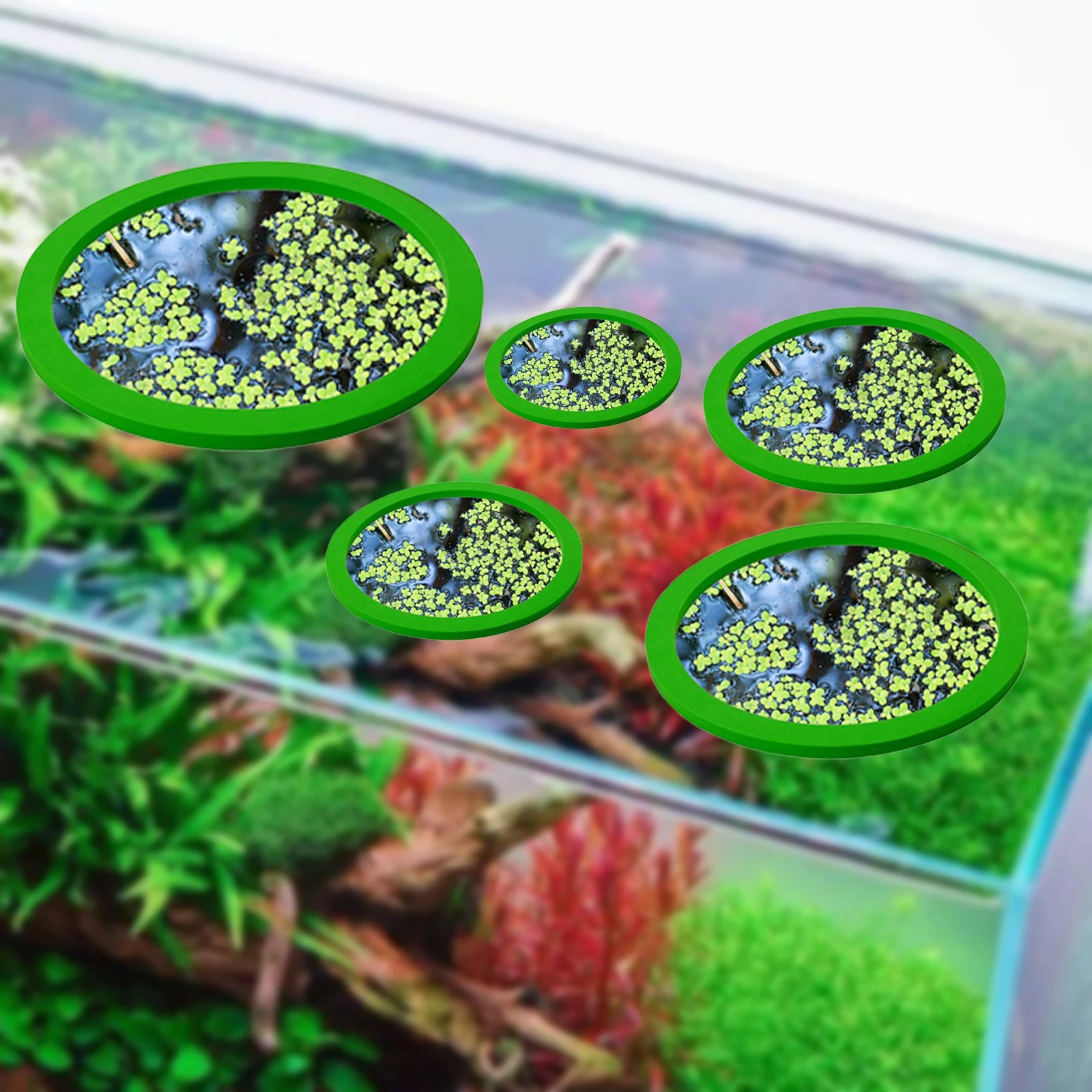 5Pcs EVA Fish Feeding Ring Aqu - огляд і ціна Aquarium Fish Tank