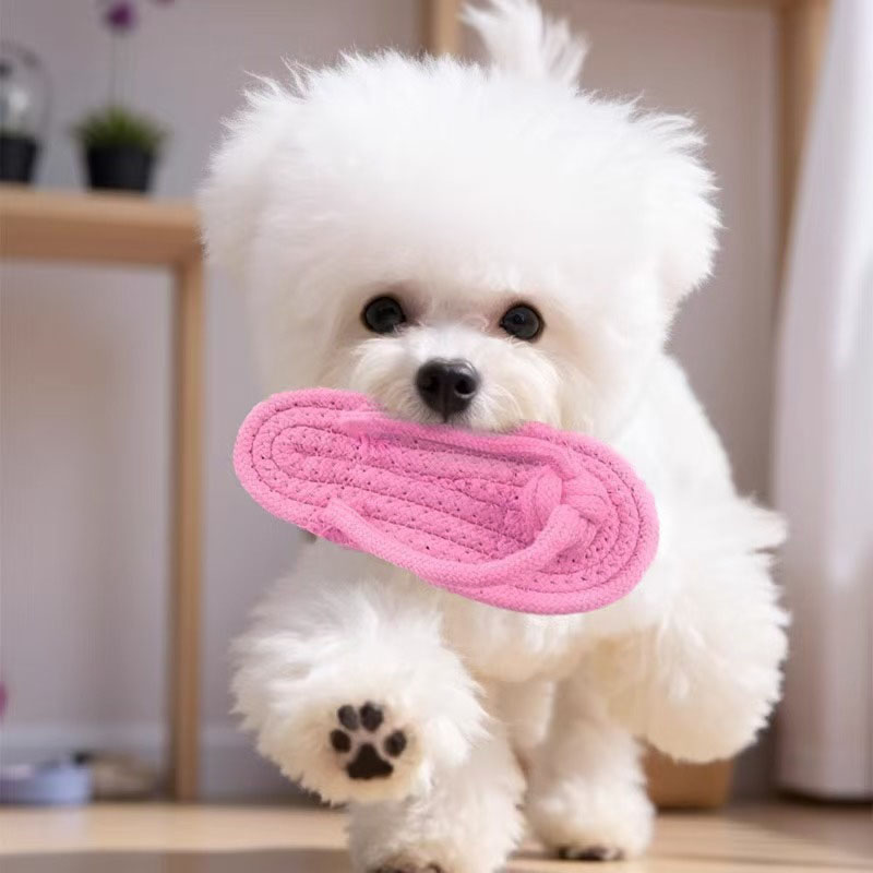 Funny Pet Dog Toys Slippers Co - огляд і ціна Pet Dental Chew Toy