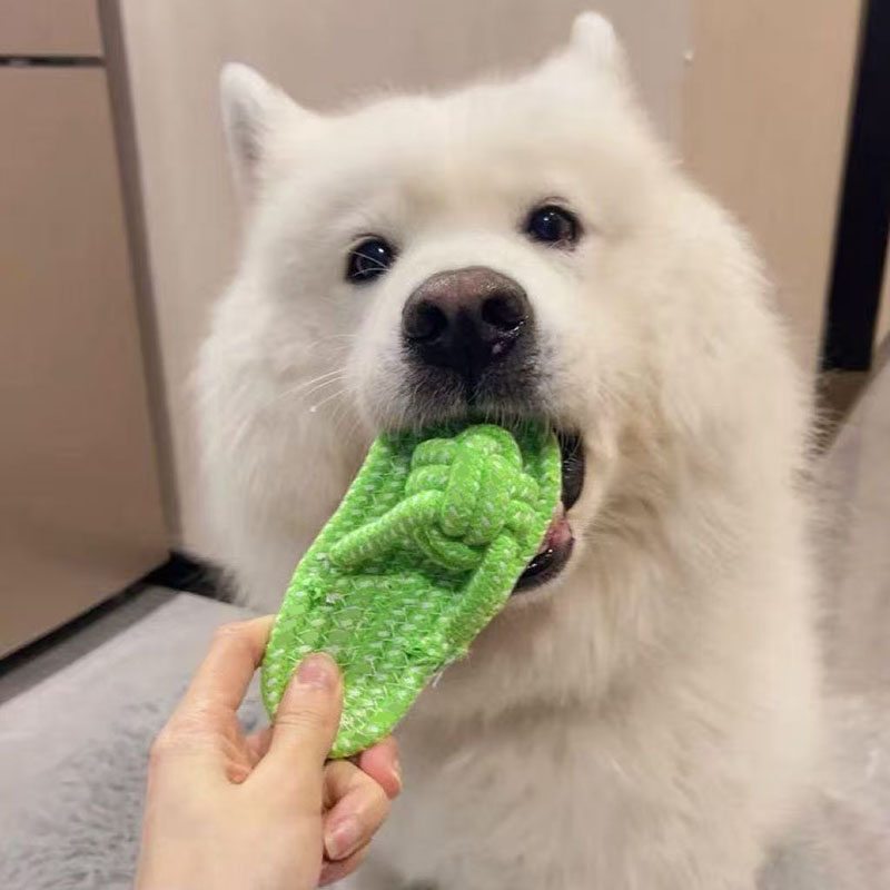 Funny Pet Dog Toys Slippers Co - огляд і ціна Pet Dental Chew Toy