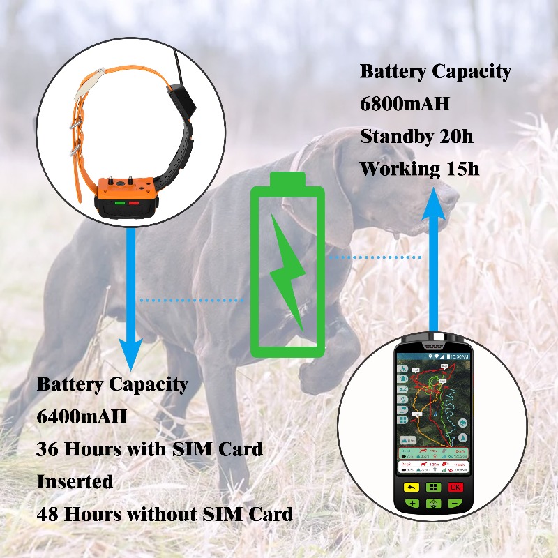2026 Canine Health GPS Tracker - огляд і ціна Pet Supplies Login
