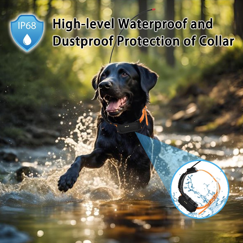 2026 Canine Health GPS Tracker - огляд і ціна Pet Supplies Login