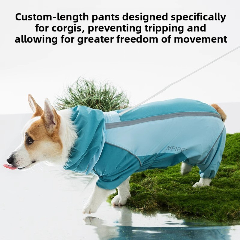 2026 Full Coverage Color Block - огляд і ціна Dog Raincoat