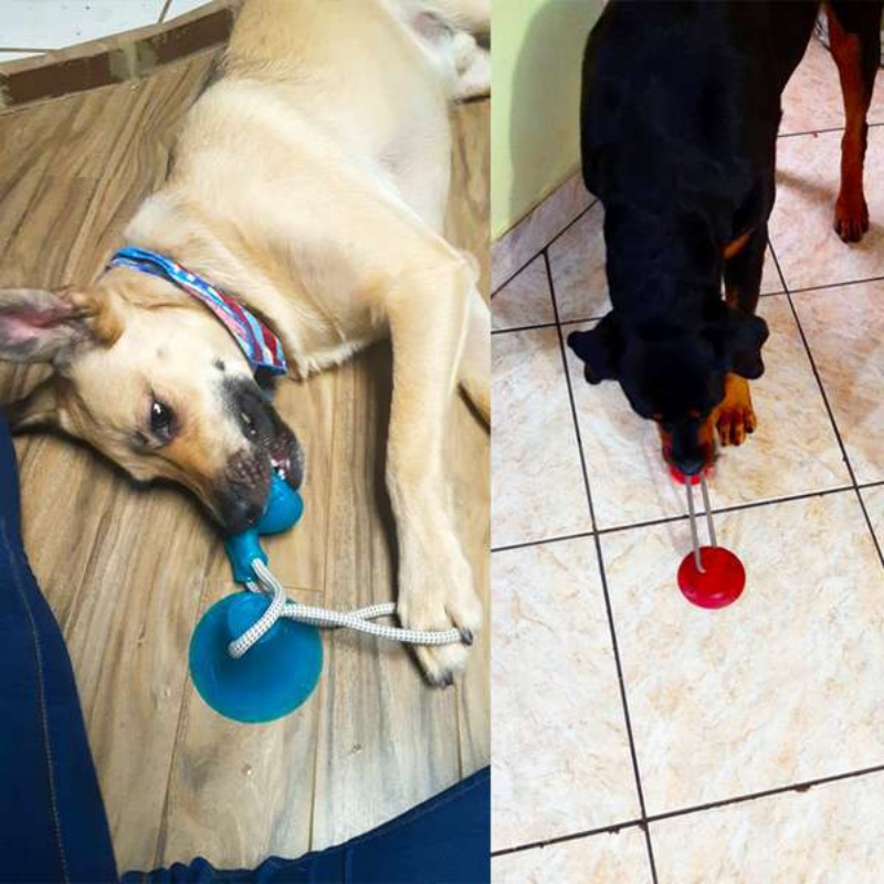 Durable Suction Cup Dog Tug To - огляд і ціна Pet Dental Chew Toy