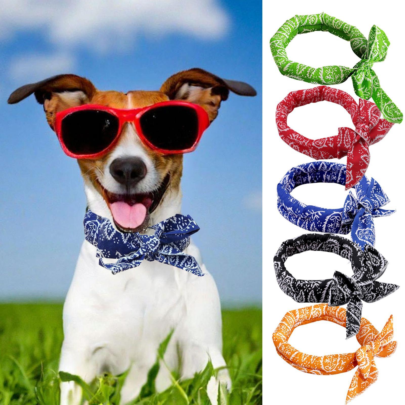 Cooling Bandana for Dogs Insta - огляд і ціна Dog Bandana Scarf