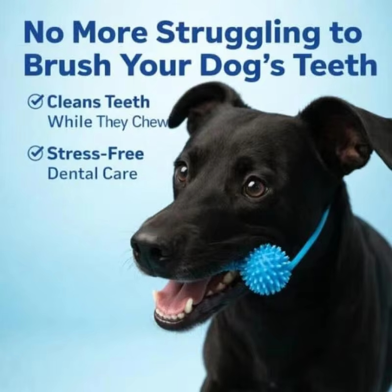 Pet Dog Dental Care Chew Toy D - огляд і ціна Pet Dental Chew Toy