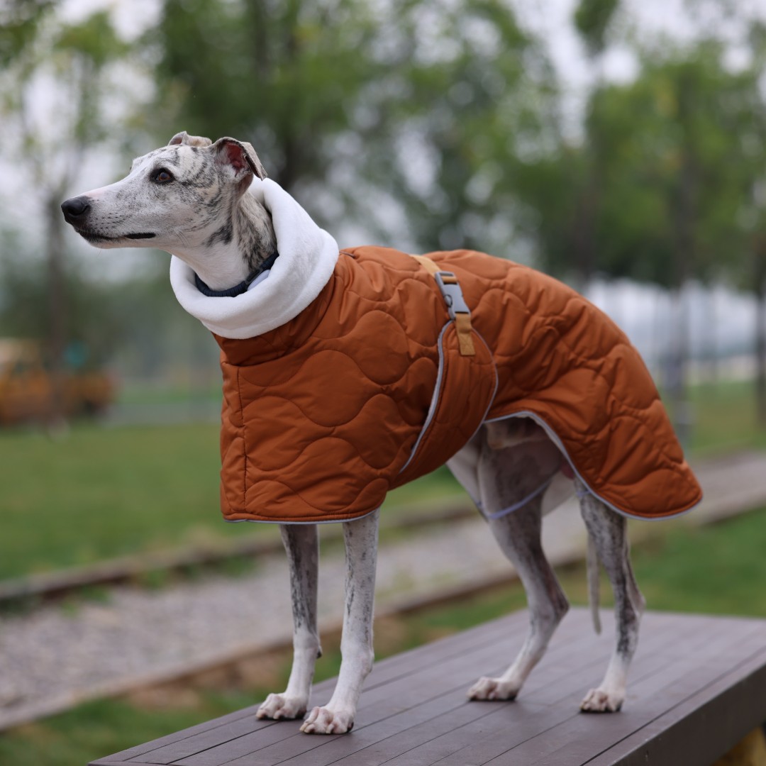 Warm Winter Dog Jacket for Sma - огляд і ціна Dog Raincoat