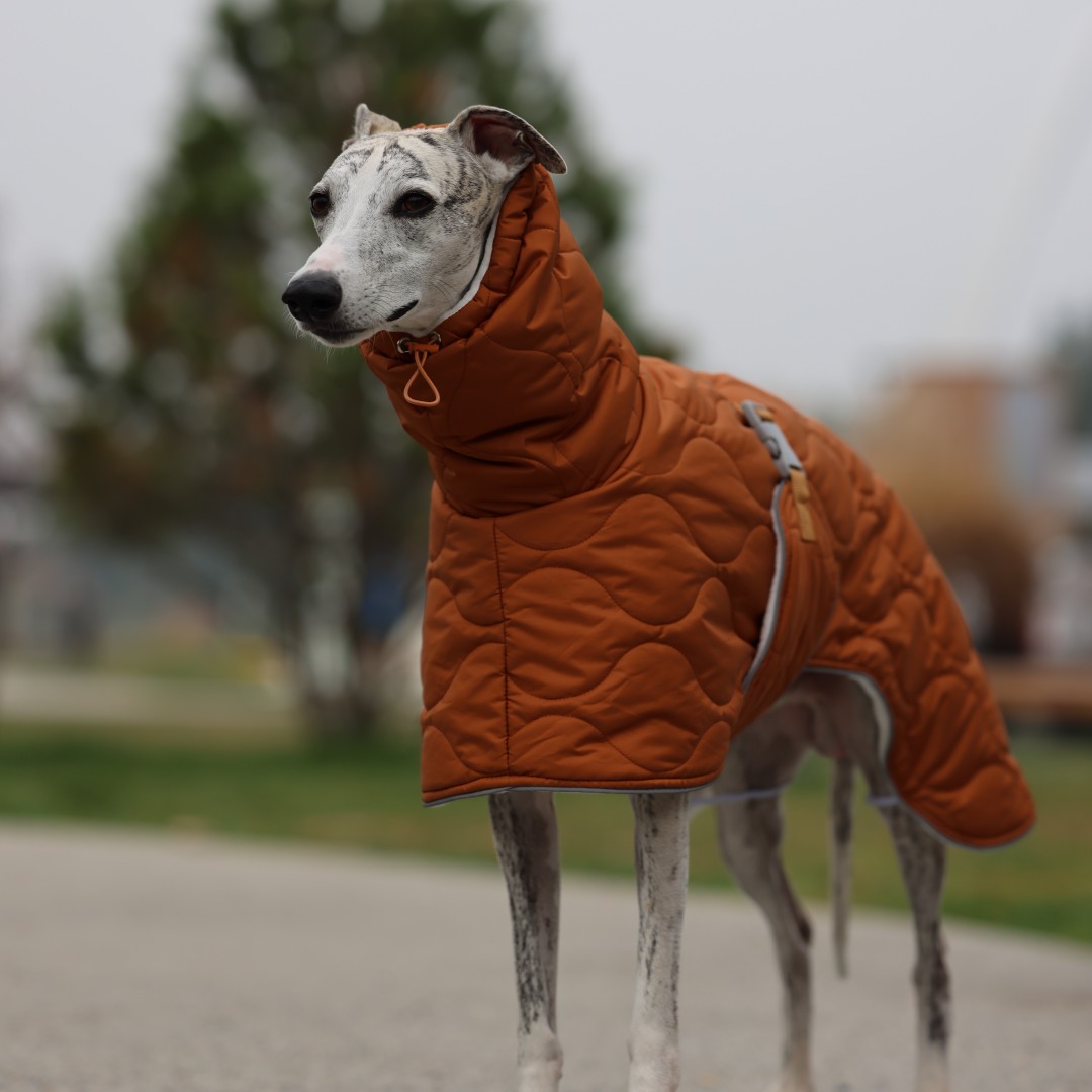 Warm Winter Dog Jacket for Sma - огляд і ціна Dog Raincoat