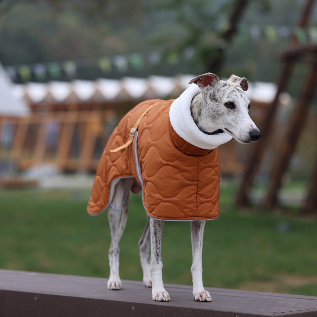 Warm Winter Dog Jacket for Sma - огляд і ціна Dog Raincoat