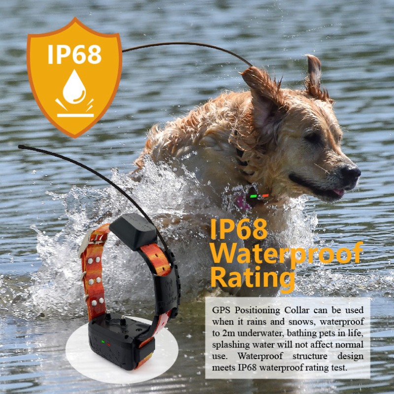 Enterprise Dog GPS Fence Manag - огляд і ціна Pet Supplies Login