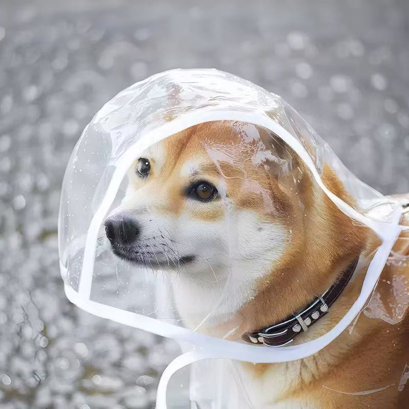 XS-8XL Pet Raincoat Transparen - огляд і ціна Dog Raincoat