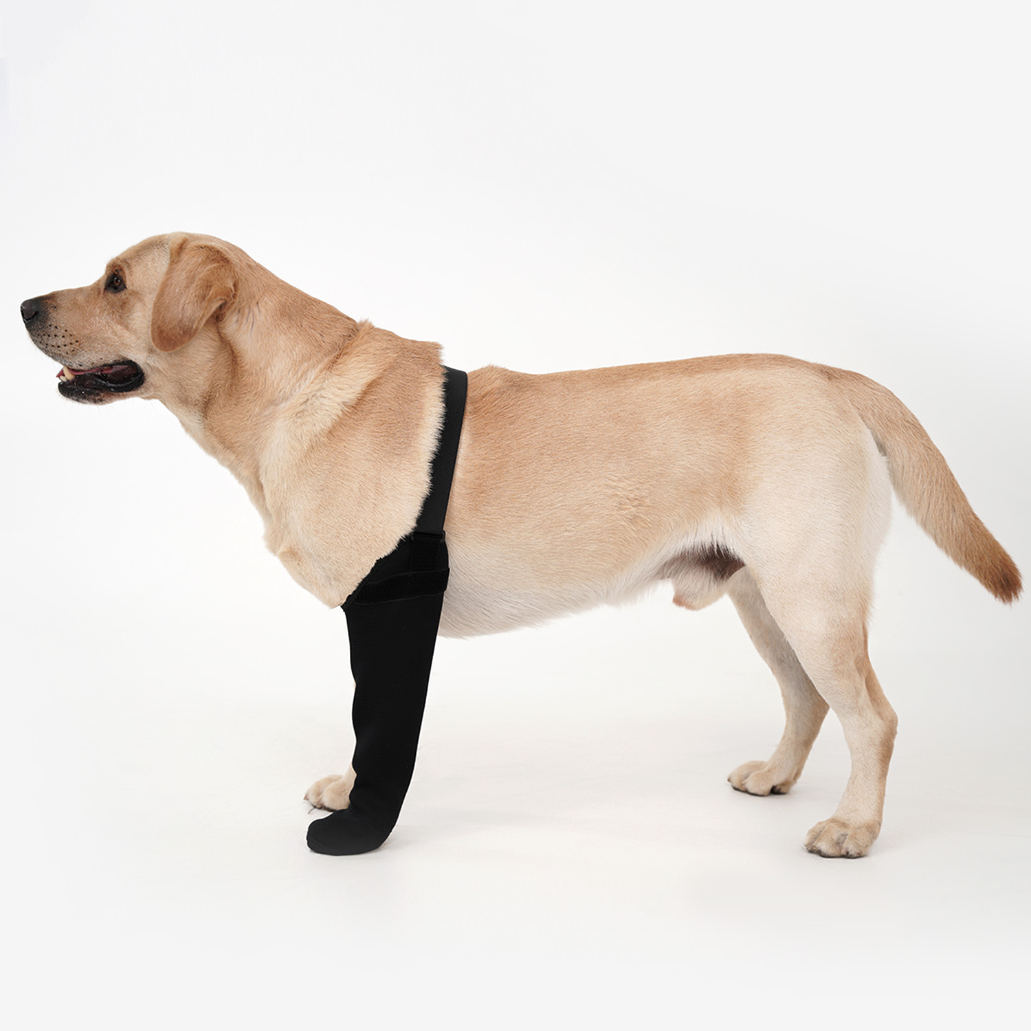 Waterproof Single Leg Dog Sock - огляд і ціна Dog Raincoat